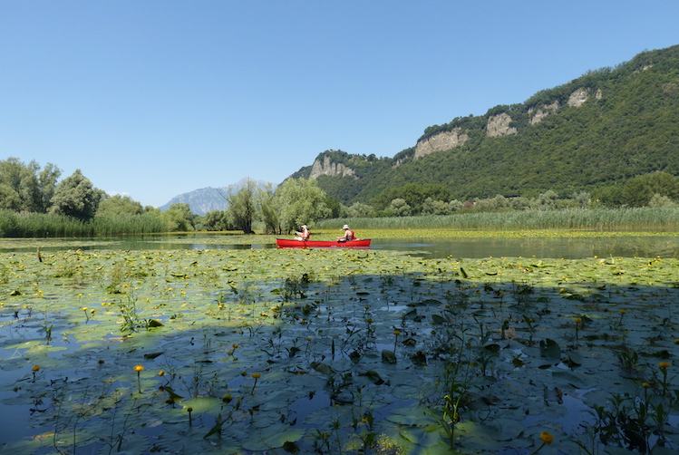Canoadda
