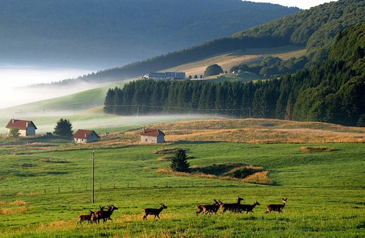 Laghi friulani - Cansiglio