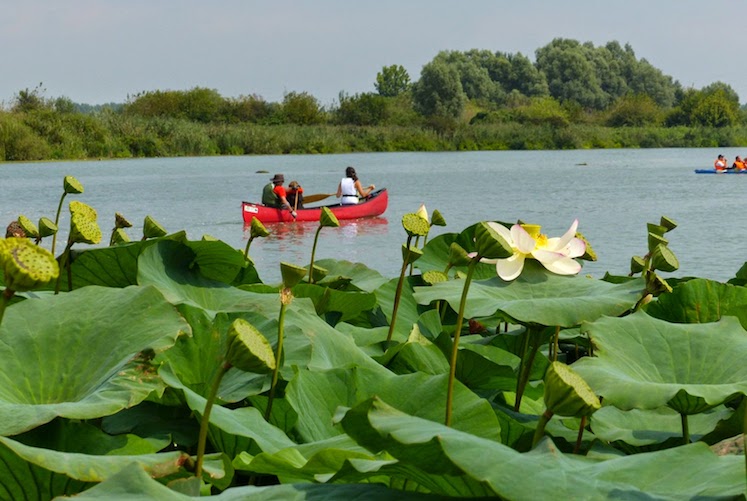 Mincio in canoa 2014